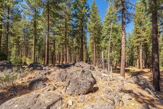 Listing Image 17 for 9252 Heartwood Drive, Truckee, CA 96161