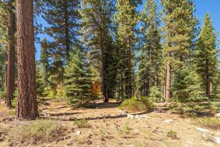 Listing Image 21 for 9252 Heartwood Drive, Truckee, CA 96161