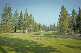 Listing Image 3 for 9252 Heartwood Drive, Truckee, CA 96161