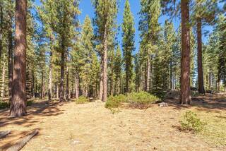 Listing Image 4 for 9252 Heartwood Drive, Truckee, CA 96161