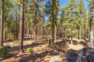 Listing Image 8 for 9252 Heartwood Drive, Truckee, CA 96161