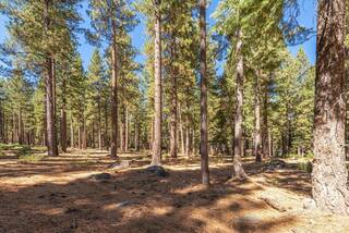 Listing Image 9 for 9252 Heartwood Drive, Truckee, CA 96161