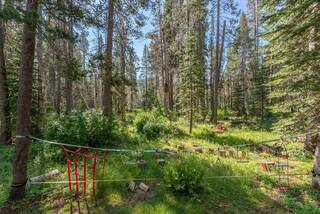 Listing Image 18 for 50881 Conifer Drive, Soda Springs, CA 95728