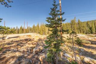 Listing Image 22 for 50926 Conifer, Soda Springs, CA 95728