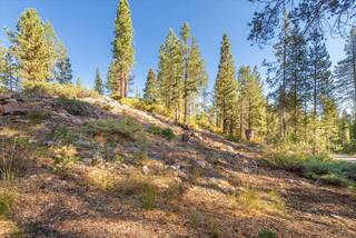 Listing Image 7 for 50926 Conifer, Soda Springs, CA 95728