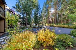 Listing Image 23 for 7110 State Highway 89, Tahoma, CA 96142