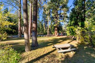 Listing Image 25 for 7110 State Highway 89, Tahoma, CA 96142