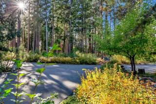 Listing Image 3 for 7110 State Highway 89, Tahoma, CA 96142