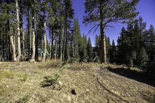 Listing Image 9 for 2093 Serene Road, Soda Springs, CA 95728