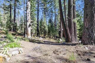 Listing Image 4 for 51179 Jeffrey Pine Road, Soda Springs, CA 95728