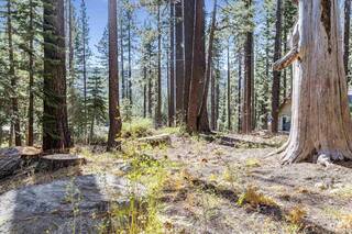 Listing Image 6 for 51179 Jeffrey Pine Road, Soda Springs, CA 95728