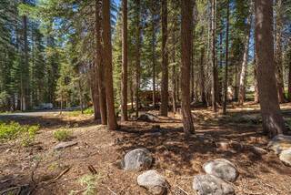 Listing Image 1 for 51847 Tamarack Crescent, Soda Springs, CA 95728