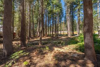 Listing Image 13 for 51847 Tamarack Crescent, Soda Springs, CA 95728