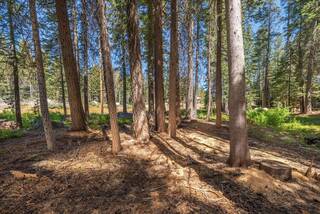 Listing Image 17 for 51847 Tamarack Crescent, Soda Springs, CA 95728