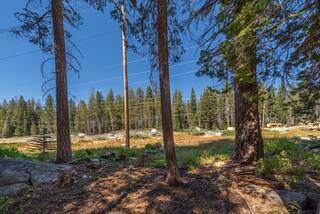 Listing Image 2 for 51847 Tamarack Crescent, Soda Springs, CA 95728