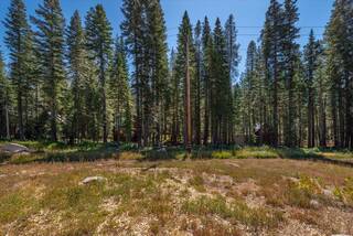 Listing Image 7 for 51847 Tamarack Crescent, Soda Springs, CA 95728