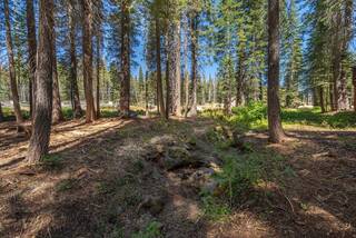 Listing Image 9 for 51847 Tamarack Crescent, Soda Springs, CA 95728