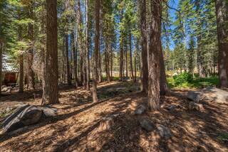 Listing Image 10 for 51847 Tamarack Crescent, Soda Springs, CA 95728