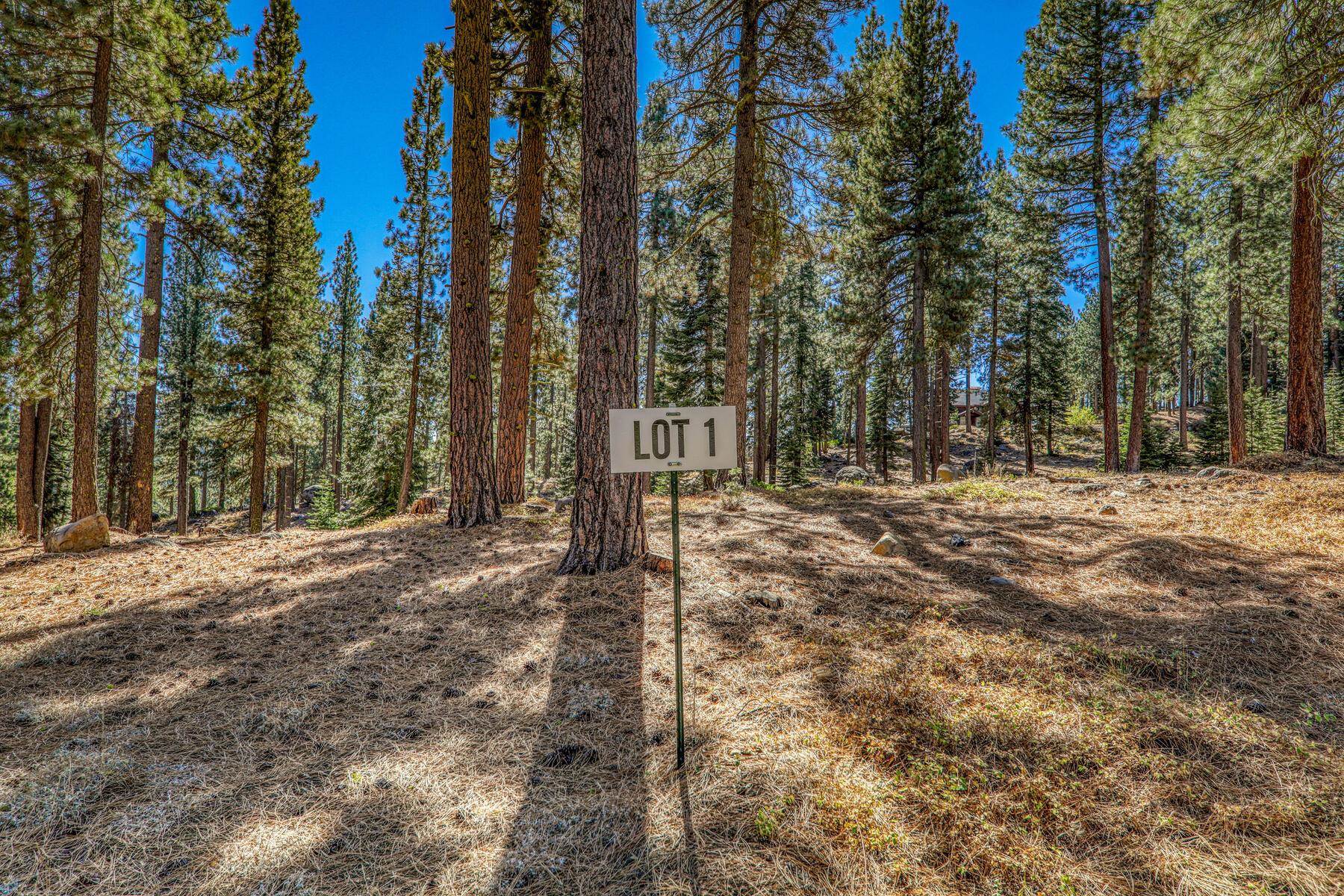 Image for 10728 Bert Road, Truckee, CA 96161