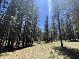 Listing Image 1 for 225 Gold Nugget Lane, Graeagle, CA 96103