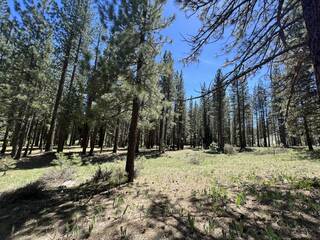 Listing Image 15 for 225 Gold Nugget Lane, Graeagle, CA 96103