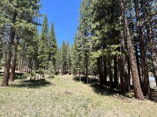 Listing Image 17 for 225 Gold Nugget Lane, Graeagle, CA 96103