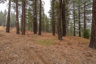 Listing Image 11 for 10567 Brickell Court, Truckee, CA 96161