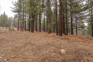 Listing Image 15 for 10567 Brickell Court, Truckee, CA 96161