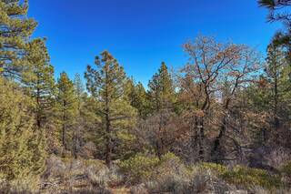 Listing Image 10 for 2850 22N03, Beckwourth, CA 96129-0000