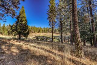 Listing Image 4 for 346 Big Grizzly, Portola, NV 96122-0000