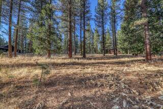 Listing Image 7 for 346 Big Grizzly, Portola, NV 96122-0000