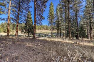 Listing Image 8 for 346 Big Grizzly, Portola, NV 96122-0000