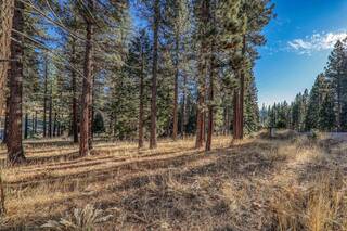 Listing Image 10 for 346 Big Grizzly, Portola, NV 96122-0000