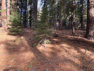 Listing Image 3 for 13310 W Sierra Drive, Truckee, CA 96161