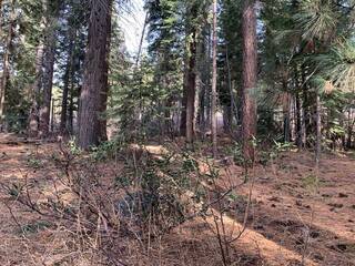 Listing Image 7 for 13310 W Sierra Drive, Truckee, CA 96161