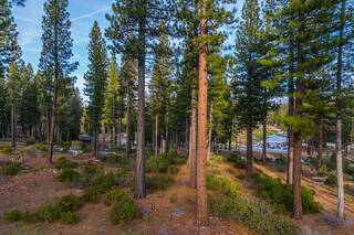 Listing Image 3 for 7024 Villandry Circle, Truckee, CA 96161