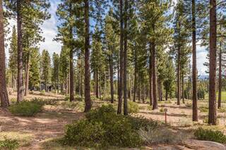 Listing Image 6 for 7024 Villandry Circle, Truckee, CA 96161