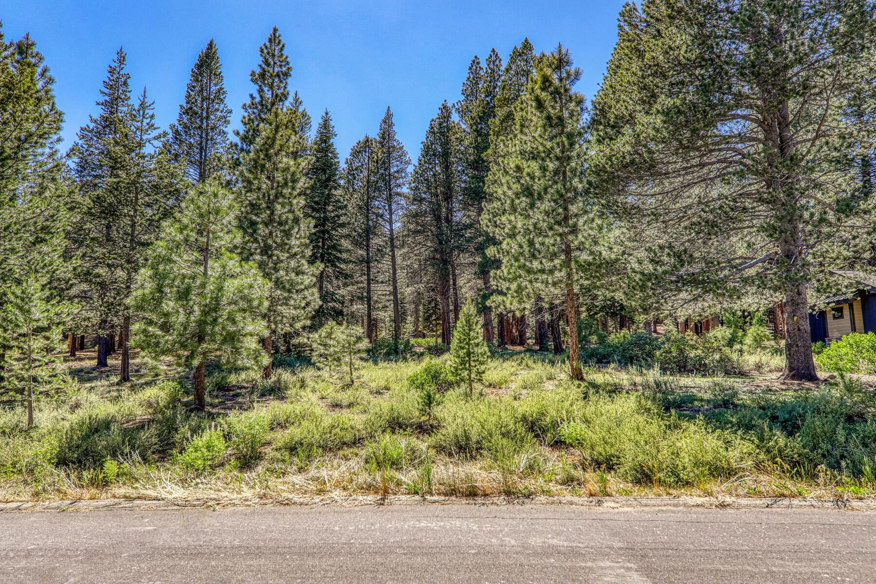 Image for 11850 Bottcher Loop, Truckee, CA 96161