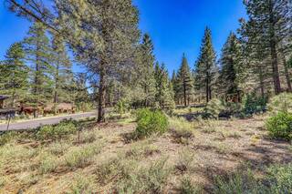 Listing Image 5 for 11850 Bottcher Loop, Truckee, CA 96161