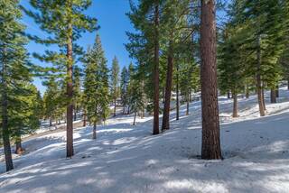 Listing Image 16 for 2640 Mill Site Road, Truckee, CA 96161