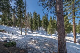 Listing Image 8 for 2640 Mill Site Road, Truckee, CA 96161