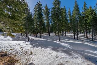 Listing Image 9 for 2640 Mill Site Road, Truckee, CA 96161