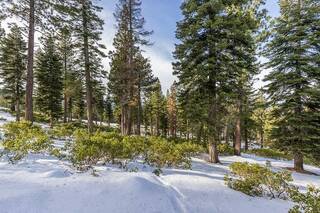 Listing Image 11 for 9486 Clermont Court, Truckee, CA 96161