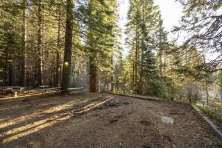 Listing Image 24 for 798 Blue Canyon Road, Emigrant Gap, CA 95701