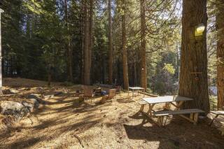 Listing Image 25 for 798 Blue Canyon Road, Emigrant Gap, CA 95701