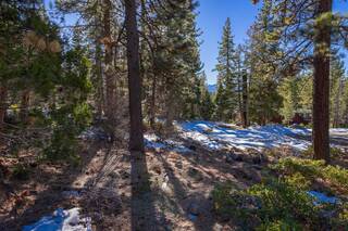 Listing Image 16 for 3100 North Lake Boulevard, Tahoe City, CA 96145