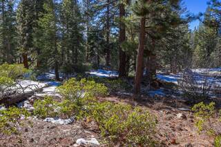 Listing Image 17 for 3100 North Lake Boulevard, Tahoe City, CA 96145