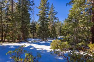 Listing Image 18 for 3100 North Lake Boulevard, Tahoe City, CA 96145