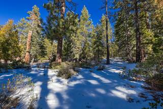 Listing Image 19 for 3100 North Lake Boulevard, Tahoe City, CA 96145