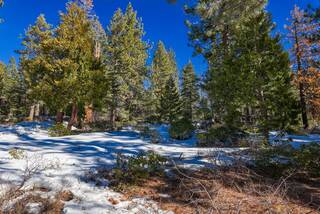 Listing Image 20 for 3100 North Lake Boulevard, Tahoe City, CA 96145